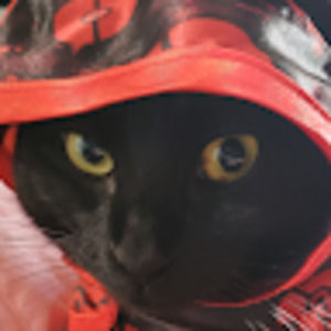 Meet your Posher, Christopher